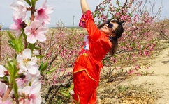 精品无人区1码2码3码